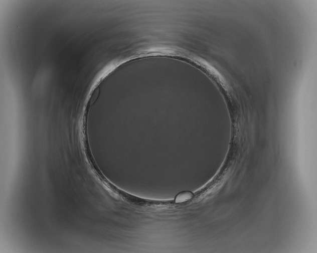 X0000116581373200912171515