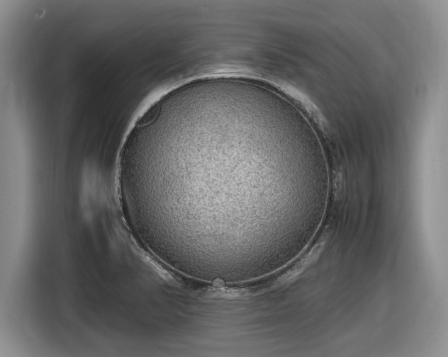 X0000116581374200912171515