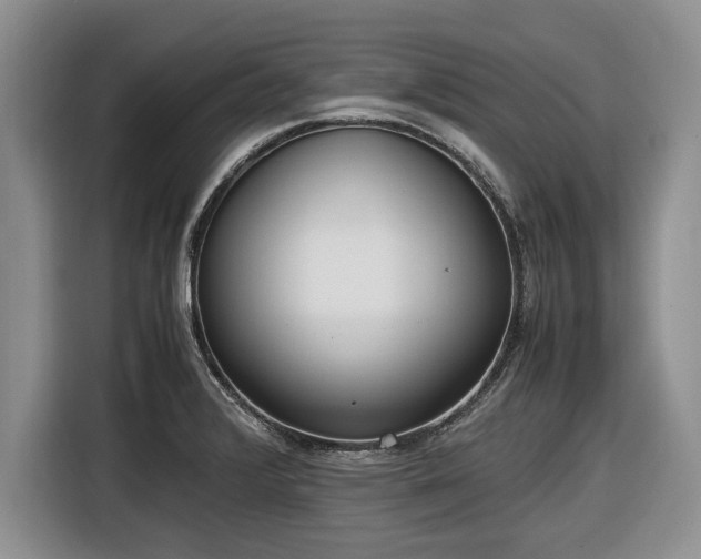 X0000116581376200912171515