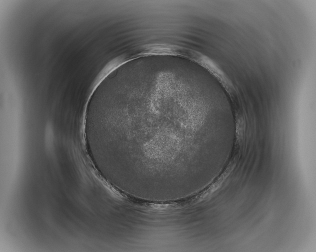 X0000116581378200912171515