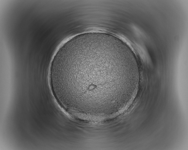 X0000116581379200912171515