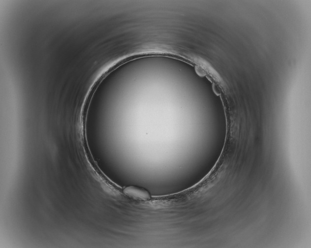 X0000116581380200912171515