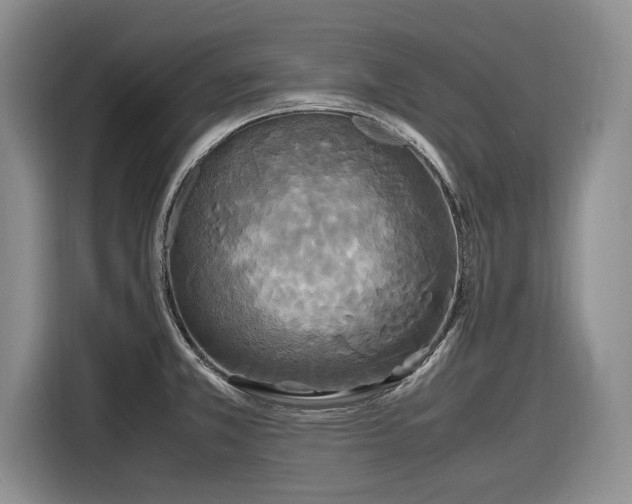 X0000116581381200912171515