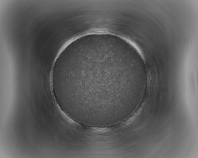 X0000116581382200912171515