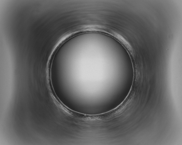 X0000116581384200912171515