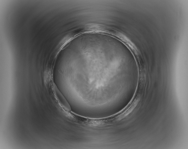 X0000116581385200912171515