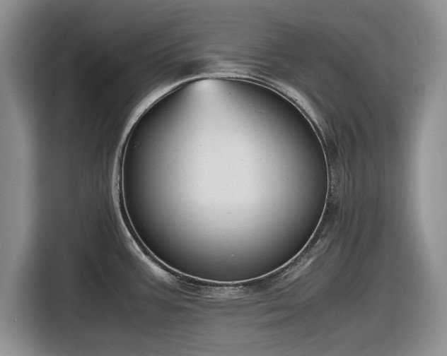 X0000116581387200912171515