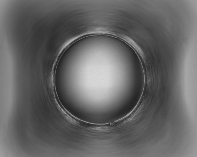 X0000116581388200912171515