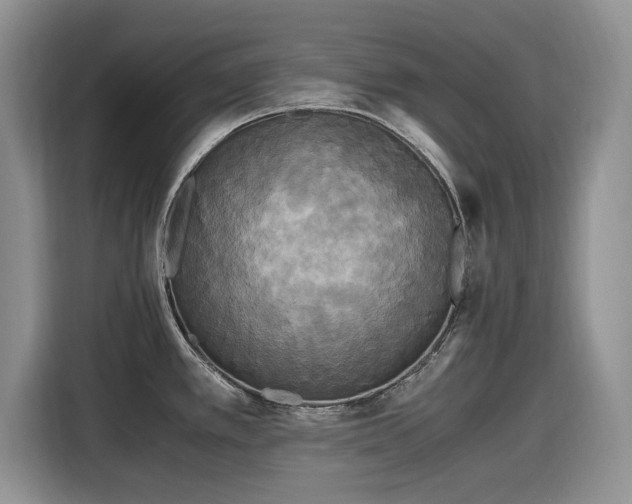 X0000116581389200912171515