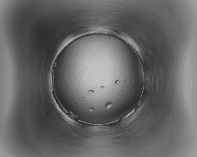 X0000116581391200912171515