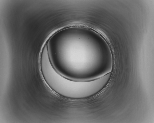 X0000116581392200912171515