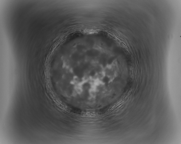 X0000116581393200912171514