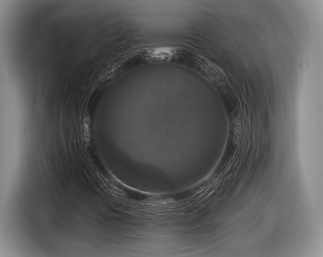 X0000116581394200912171514