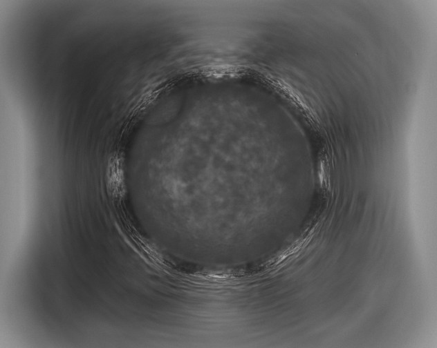 X0000116581396200912171514