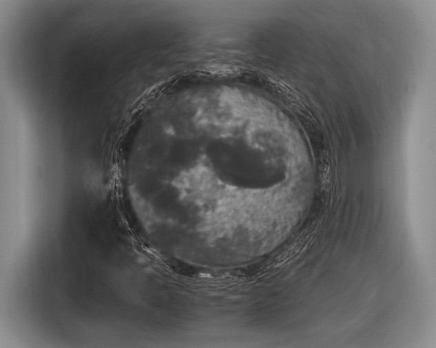 X0000116581397200912171514