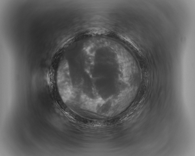 X0000116581399200912171514