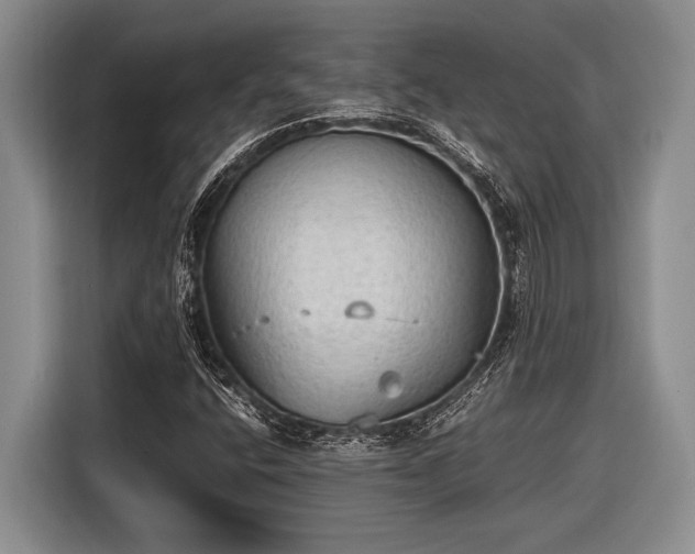 X0000116581400200912171514