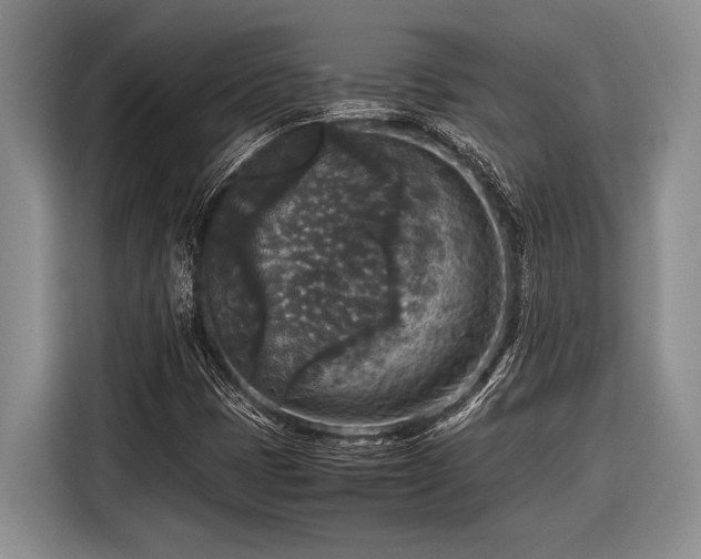 X0000116581401200912171514