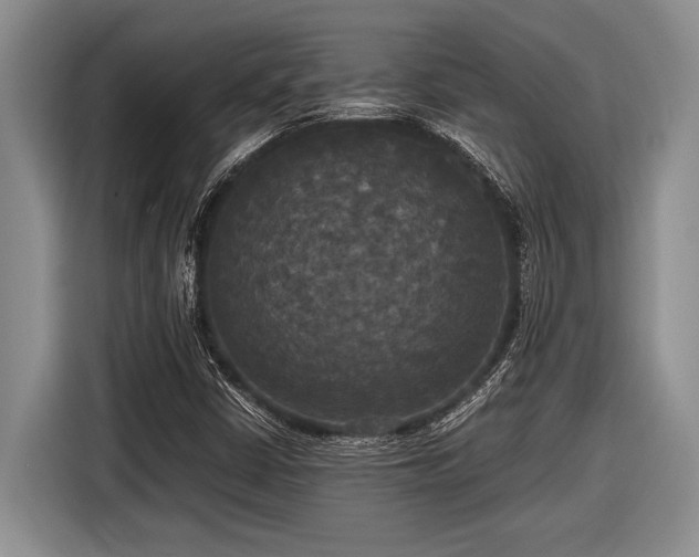 X0000116581402200912171514