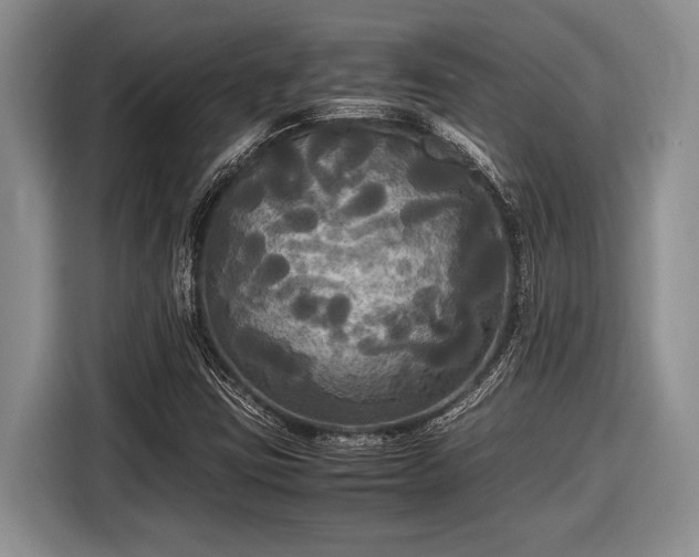 X0000116581403200912171514