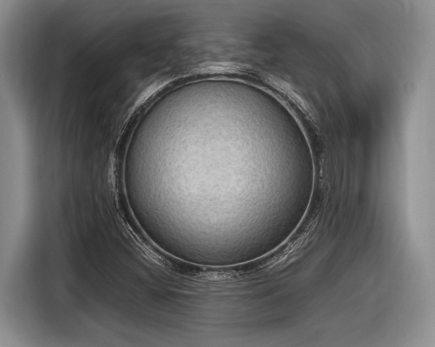 X0000116581404200912171514