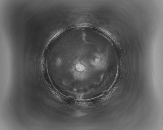 X0000116581405200912171514