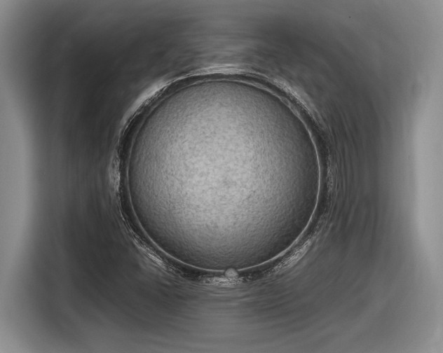 X0000116581406200912171514