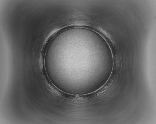 X0000116581408200912171514