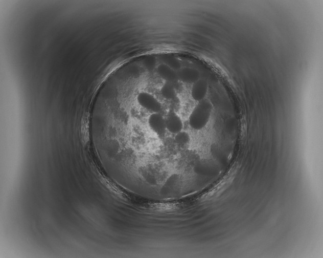 X0000116581409200912171514