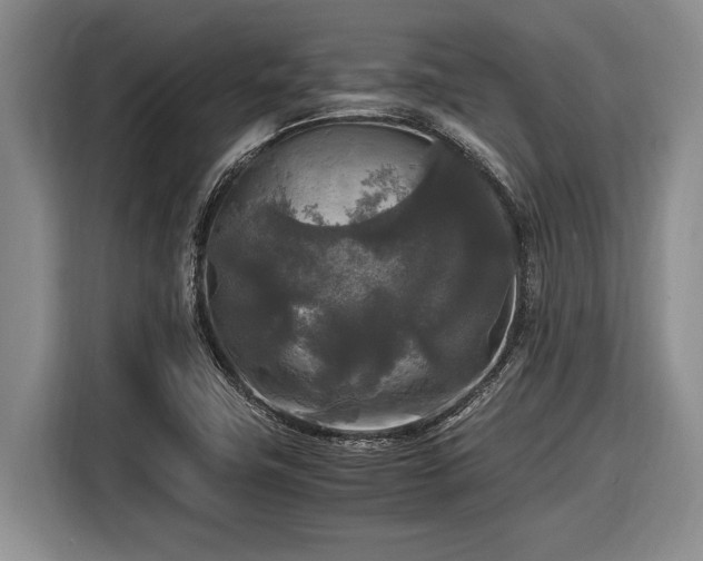 X0000116581411200912171514