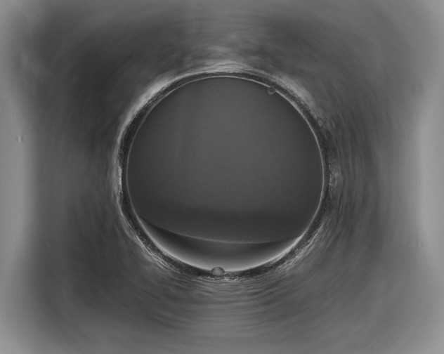 X0000116581414200912171515