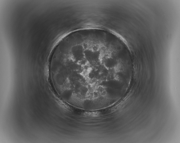 X0000116581415200912171515