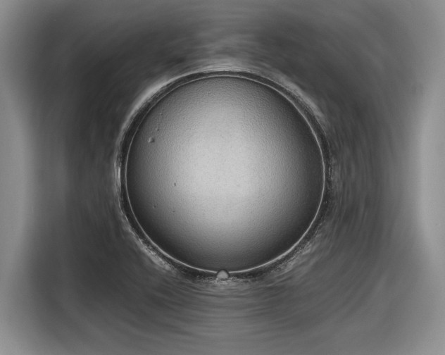 X0000116581416200912171515