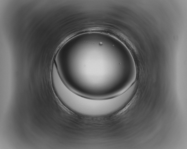 X0000116581417200912171515