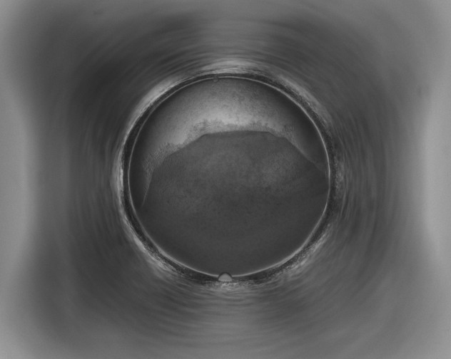 X0000116581418200912171515