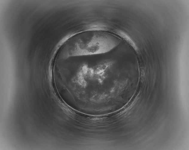 X0000116581419200912171515