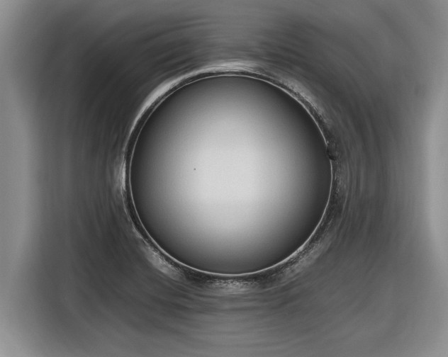 X0000116581420200912171515