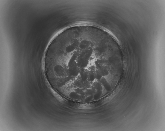 X0000116581421200912171515