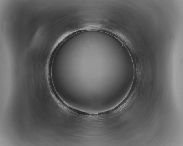 X0000116581422200912171515