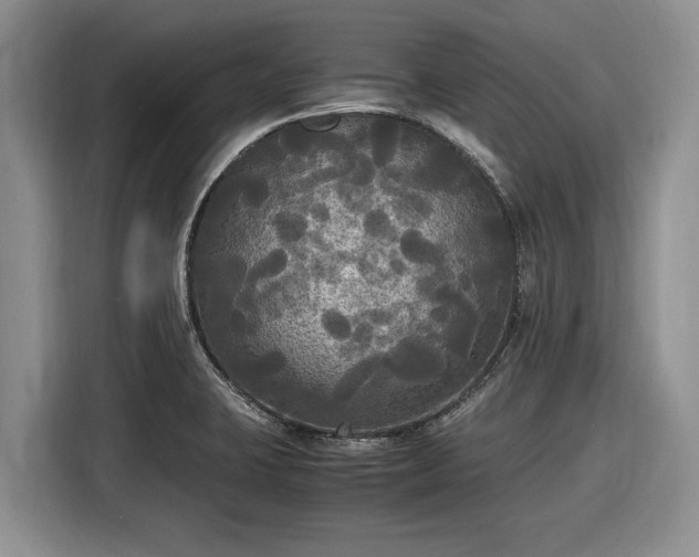 X0000116581423200912171515