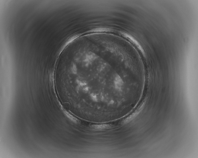 X0000116581425200912171515