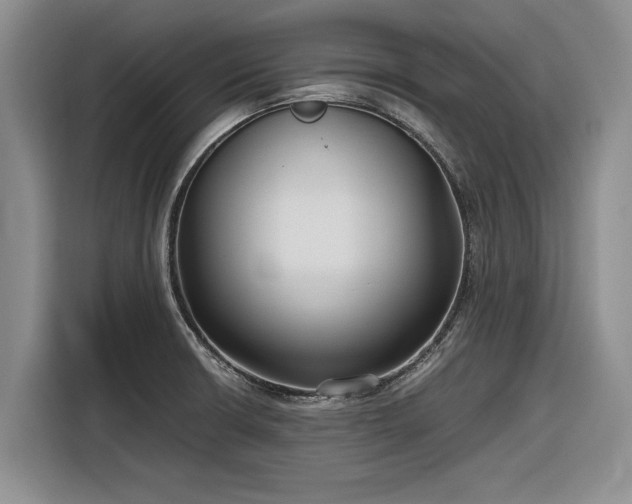 X0000116581426200912171515