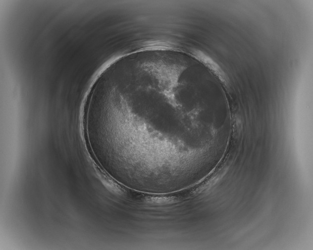 X0000116581427200912171515