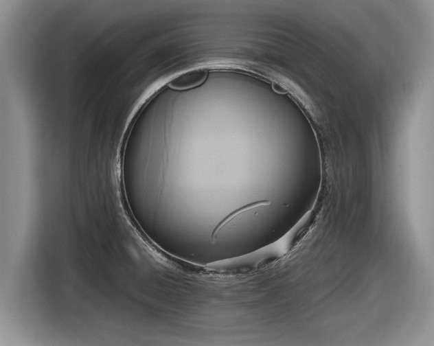 X0000116581428200912171515