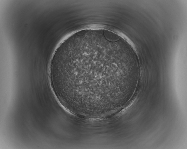 X0000116581429200912171515