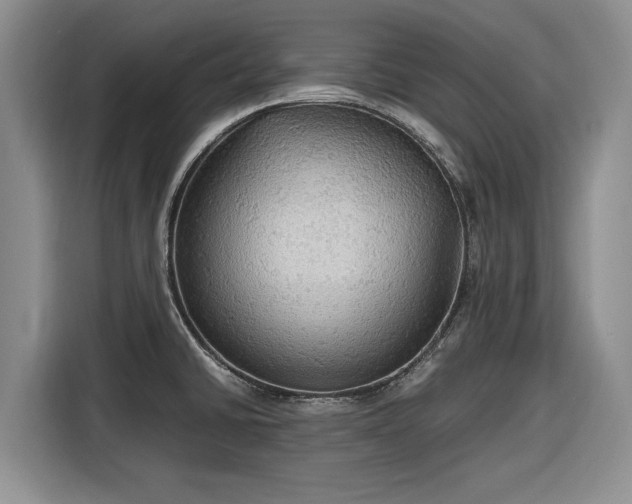 X0000116581430200912171515