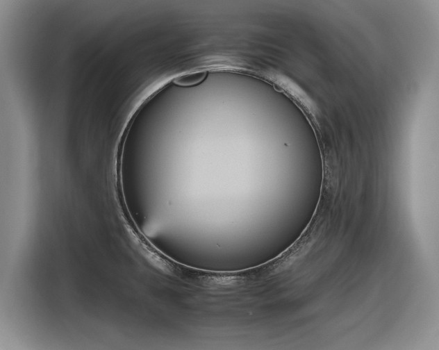 X0000116581431200912171515