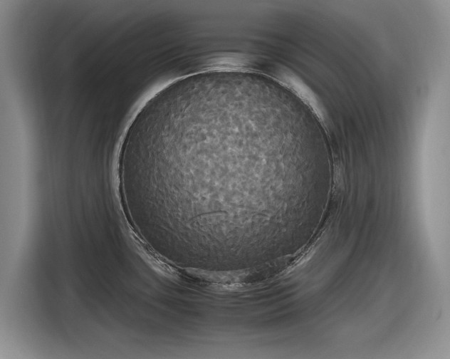 X0000116581435200912171515