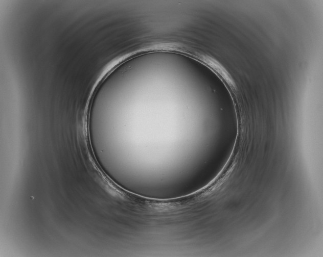 X0000116581436200912171515