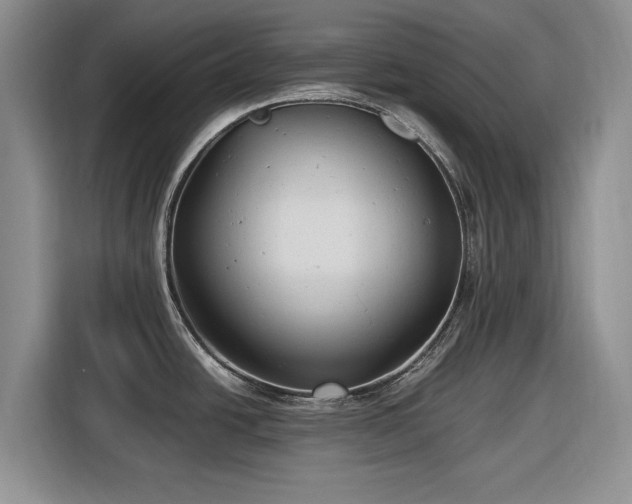 X0000116581438200912171515